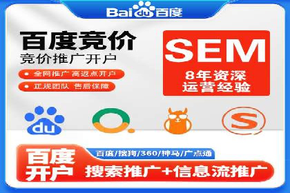 百度广告投放策略：成功案例解析